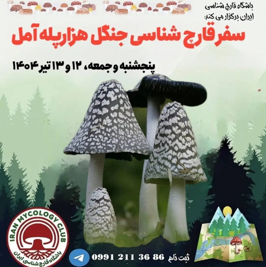 سفر باشگاه قارچ شناسی