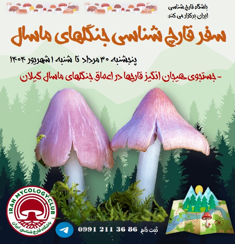 سفر ماسال