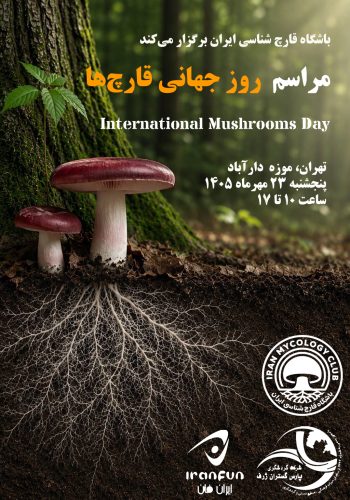 پوستر