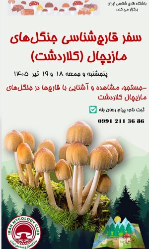 سفر کلاردشت