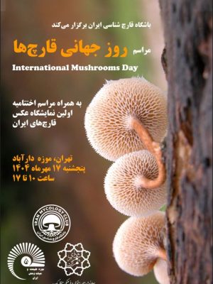 پوستر نهایی 5-7 low پوستر
