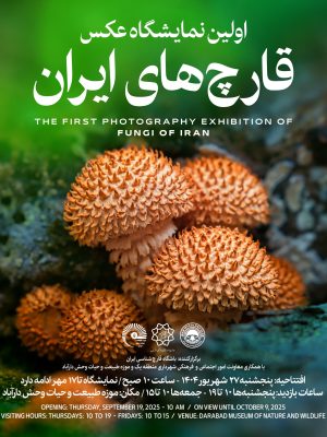 IMG_20250908_170645_809 Poster