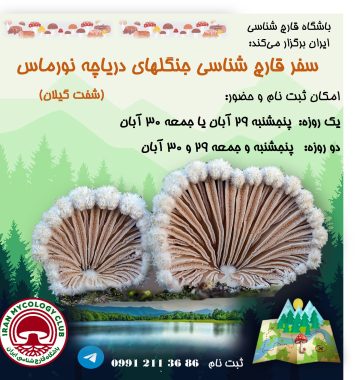 سفر قارچ شناسی نورماس